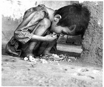 Poverty in Latin America - child eats off street waste